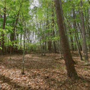 Photo #9 of 3-3 Thomas Farm, King, NC 3.0 acres