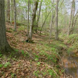 Photo #8 of 3-3 Thomas Farm, King, NC 3.0 acres