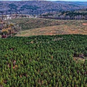 Photo #10 of Stokes Ferry, Richfield, NC 769.3 acres