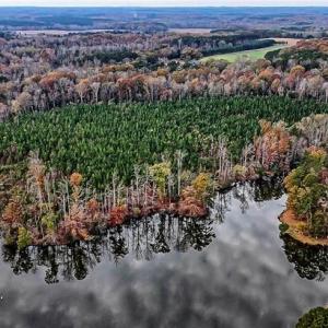 Photo #5 of 02 Highway 49, Richfield, NC 617.2 acres