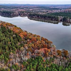 Photo #4 of 02 River, Richfield, NC 204.8 acres