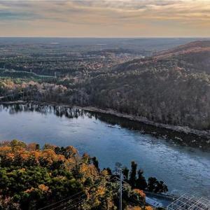 Photo #5 of Bringle Ferry, Denton, NC 280.8 acres