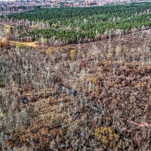 Photo #24 of Lake Fork, Salisbury, NC 336.8 acres