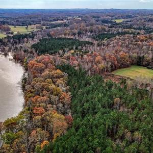 Photo #19 of Lake Fork, Salisbury, NC 336.8 acres
