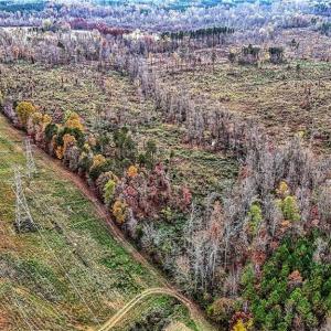 Photo #21 of Lake Fork, Salisbury, NC 336.8 acres
