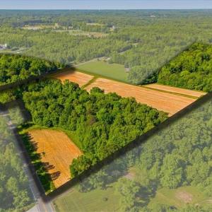 Photo #3 of 8305 Meadows, Oak Ridge, NC 34.3 acres