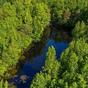 Photo #10 of 8305 Meadows, Oak Ridge, NC 34.3 acres