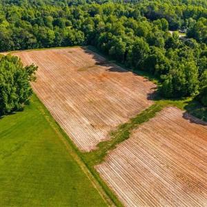 Photo #8 of 8305 Meadows, Oak Ridge, NC 34.3 acres