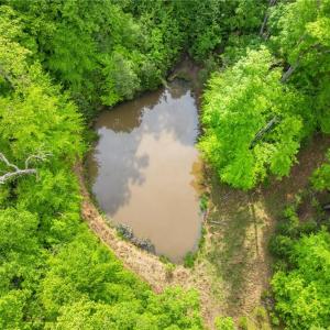 Photo #6 of Hauser, Lewisville, NC 56.1 acres