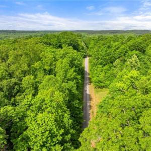 Photo #3 of Hauser, Lewisville, NC 56.1 acres