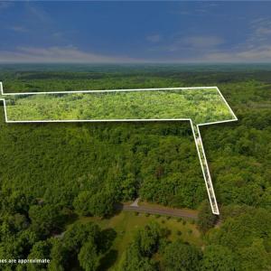 Photo #1 of Hauser, Lewisville, NC 56.1 acres