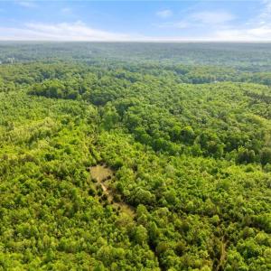 Photo #4 of Hauser, Lewisville, NC 56.1 acres
