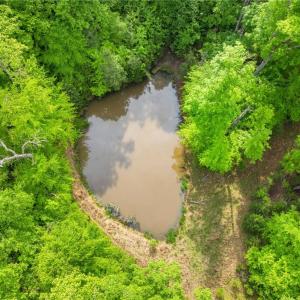 Photo #6 of Hauser, Lewisville, NC 56.1 acres