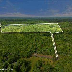 Photo #1 of Hauser, Lewisville, NC 56.1 acres