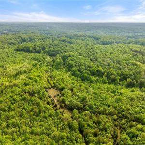 Photo #4 of Hauser, Lewisville, NC 56.1 acres