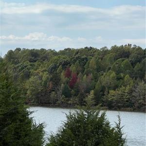 View from inside property line