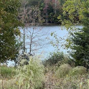 View from inside property line