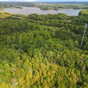 Mature hardwoods; early Fall foliage
