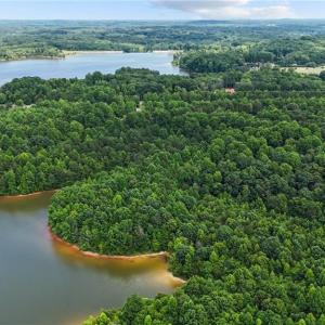 Lake edges & coves