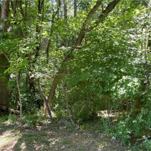 Photo #4 of Thompson, Graham, NC 12.9 acres