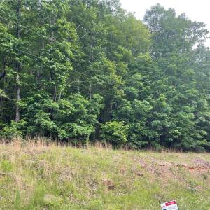 Photo #2 of 1 George York, Randleman, NC 3.0 acres
