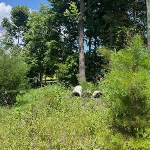 Photo #4 of 1431 Rock Creek Dairy, Whitsett, NC 0.2 acres