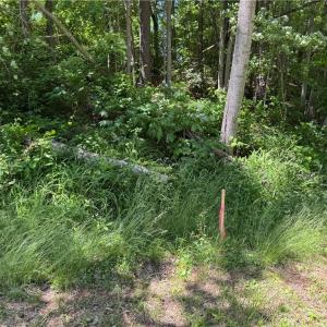Photo #17 of 1065 Kiser Acres, King, NC 8.1 acres