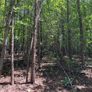 Photo #14 of 1065 Kiser Acres, King, NC 8.1 acres