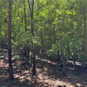 Photo #15 of 1065 Kiser Acres, King, NC 8.1 acres