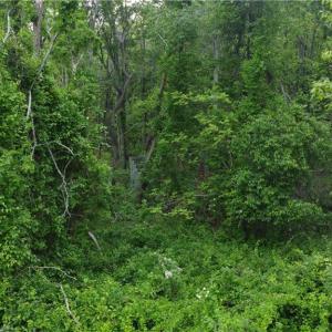 Photo #20 of TBD Stetson, Galax, VA 5.9 acres