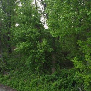 Photo #18 of TBD Stetson, Galax, VA 5.9 acres