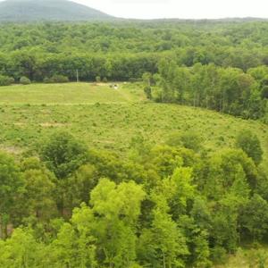 Photo #6 of Lot 10 Skeens Mill, Trinity, NC 8.3 acres