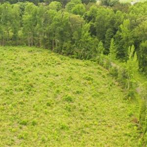 Photo #7 of Lot 10 Skeens Mill, Trinity, NC 8.3 acres
