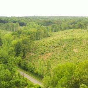 Photo #5 of Lot 10 Skeens Mill, Trinity, NC 8.3 acres