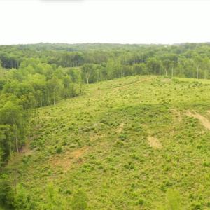 Photo #3 of Lot 10 Skeens Mill, Trinity, NC 8.3 acres