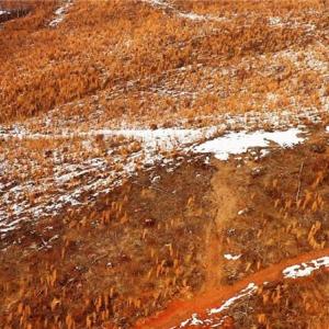 Photo #2 of Lot 10 Skeens Mill, Trinity, NC 8.3 acres