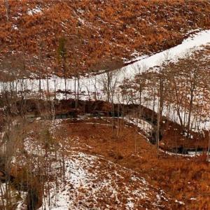 Photo #17 of Lot 10 Skeens Mill, Trinity, NC 8.3 acres