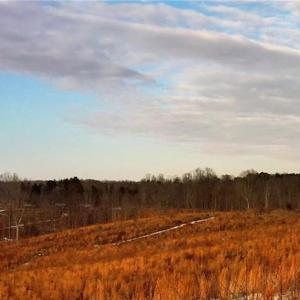 Photo #3 of Lot 10 Skeens Mill, Trinity, NC 8.3 acres