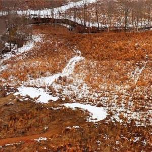 Photo #20 of Lot 10 Skeens Mill, Trinity, NC 8.3 acres