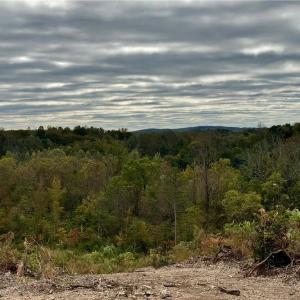 Photo #9 of Lot 10 Skeens Mill, Trinity, NC 8.3 acres