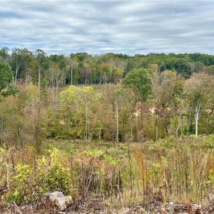 Photo #18 of Lot 10 Skeens Mill, Trinity, NC 8.3 acres