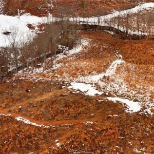 Photo #21 of Lot 10 Skeens Mill, Trinity, NC 8.3 acres