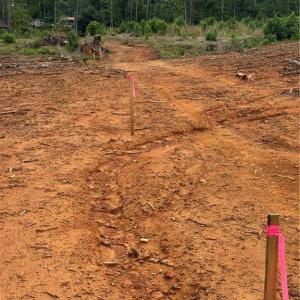 Photo #3 of Lot 12 Skeens Mill, Trinity, NC 5.4 acres