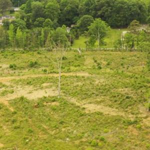 Photo #5 of Lot 12 Skeens Mill, Trinity, NC 5.4 acres