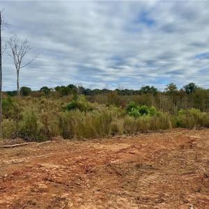Photo #1 of Lot 12 Skeens Mill, Trinity, NC 5.4 acres