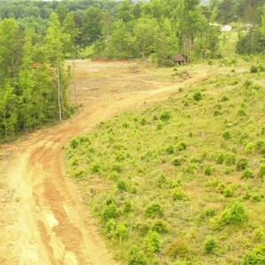 Photo #9 of Lot 12 Skeens Mill, Trinity, NC 5.4 acres