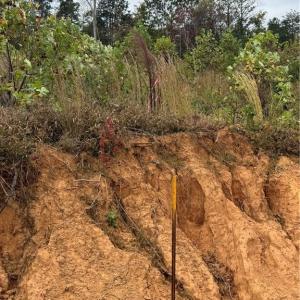 Photo #10 of Lot 12 Skeens Mill, Trinity, NC 5.4 acres