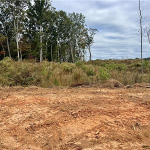 Photo #11 of Lot 12 Skeens Mill, Trinity, NC 5.4 acres