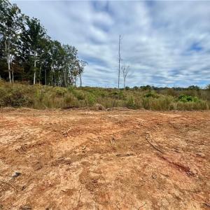 Photo #9 of Lot 12 Skeens Mill, Trinity, NC 5.4 acres