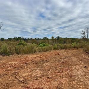Photo #5 of Lot 12 Skeens Mill, Trinity, NC 5.4 acres